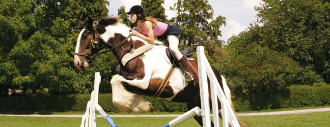 Anglais + Equitation (Cork en Irlande)