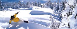 Cours d'Anglais et Ski Cours d'Anglais et Ski