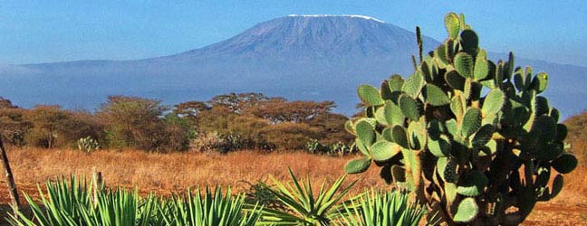 Cours combiné en Afrique du Sud pour étudiant