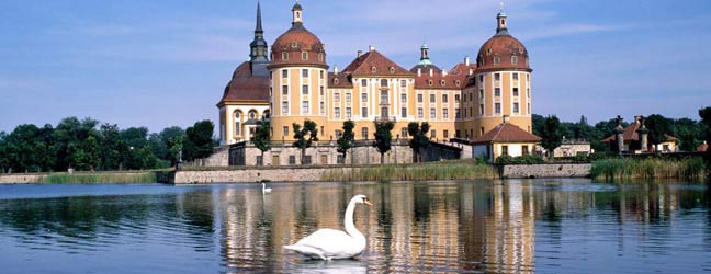 Cours chez le professeur + danse en Allemagne pour enfant