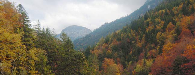 Munich (Région) - Immersion chez le professeur à Munich pour un enfant