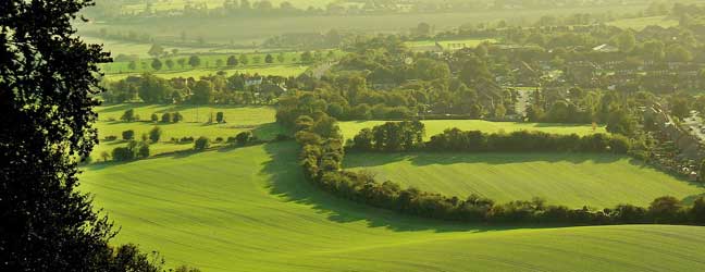 Buckinghamshire - Immersion chez le professeur dans le Buckinghamshire pour un lycéen