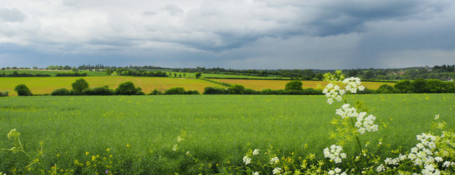 Essex - Immersion chez le professeur dans l'Essex