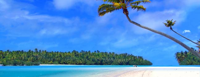 Cairns - Immersion chez le professeur à Cairns pour un adolescent