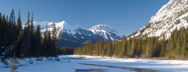 Cours intensif au Canada