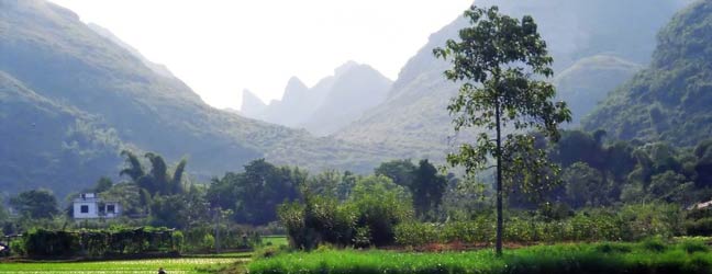 Pékin (Région) - Immersion chez le professeur à Pékin pour un adulte