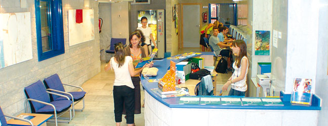 Ecoles de langues à Alicante pour un professionnel (Alicante en Espagne)