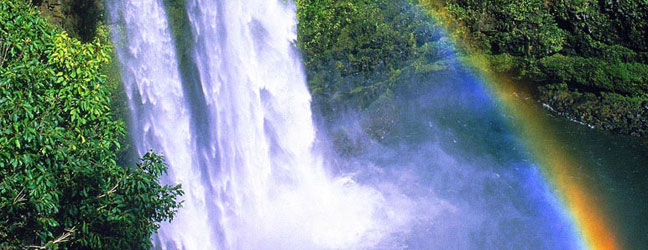 Hawaï - Immersion chez le professeur à Hawaï pour un lycéen