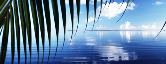 Hawaï - Immersion chez le professeur à Hawaï pour un senior