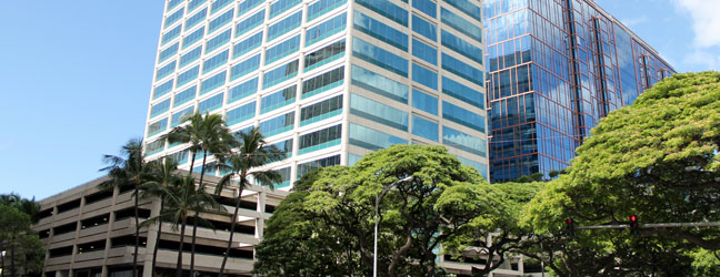ICC HAWAII pour professionnel (Honolulu aux Etats-Unis)