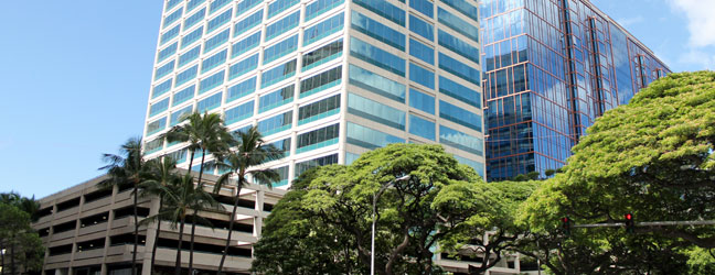 Anglais pour les Seniors 50+ (Honolulu aux Etats-Unis)