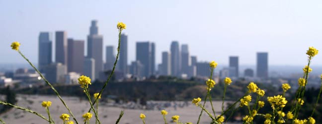 Los Angeles - Séjour linguistique à Los Angeles pour un lycéen