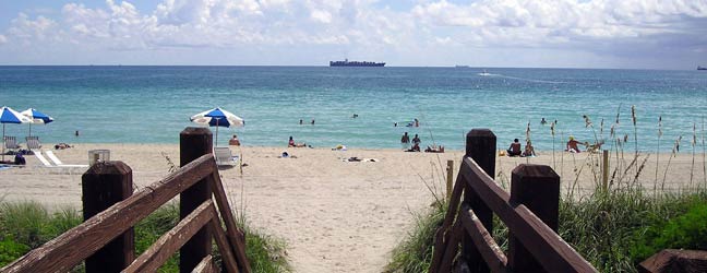Miami (région) - Immersion chez le professeur à Miami
