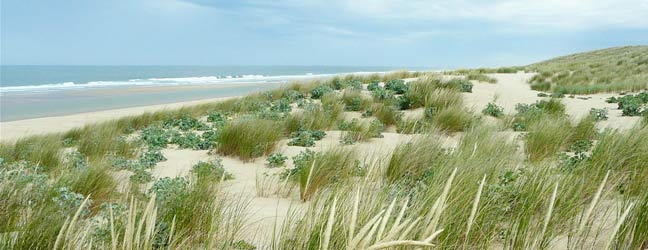 Aquitaine - Immersion chez le professeur en Aquitaine pour un enfant