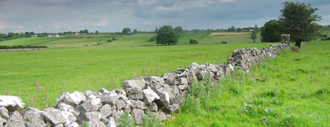 Cours chez le professeur + activités culturelles en Irlande