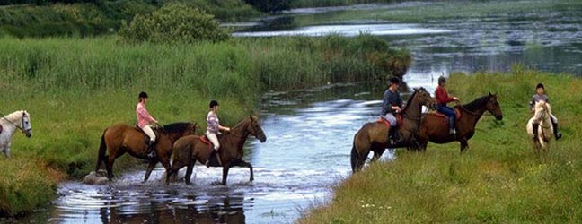 Cours chez le professeur + pêche en Irlande pour adulte