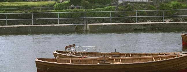 Galway (Région) - Immersion chez le professeur à Galway pour un étudiant