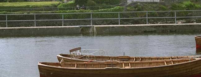 Galway (Région) - Immersion chez le professeur à Galway pour un lycéen