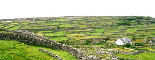 Galway (Région) - Immersion chez le professeur à Galway pour un lycéen