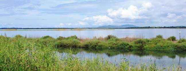 Orbetello - Voyages linguistiques à Orbetello pour un lycéen