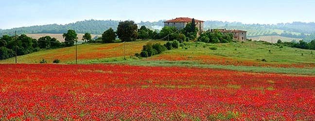Toscane - Immersion chez le professeur à Toscane