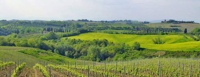Toscane - Immersion chez le professeur à Toscane pour un enfant