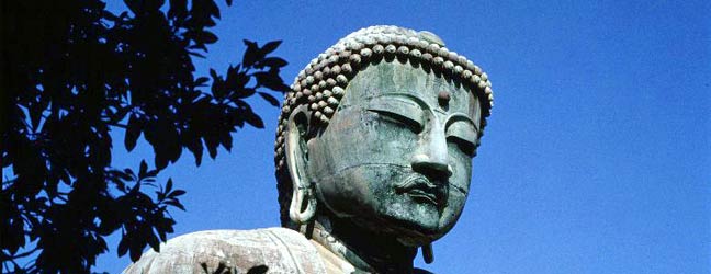 Cours chez le professeur + activités générales au Japon pour adolescent