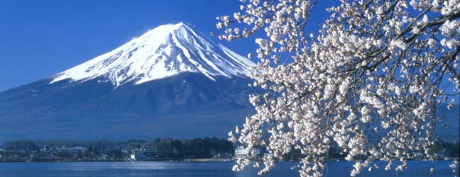 Cours standard au Japon