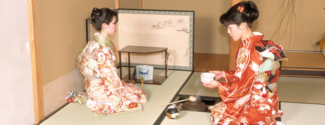 Année d’étude à l’étranger au Japon pour adulte