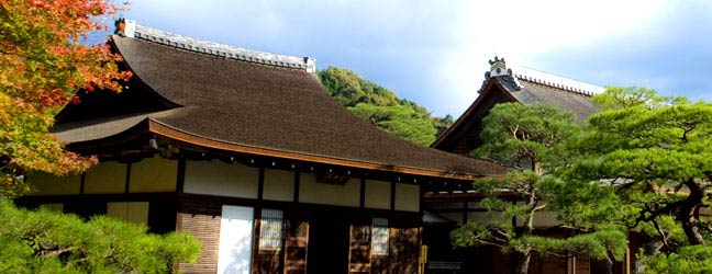 Tokyo (Région) - Immersion chez le professeur à Tokyo pour un lycéen