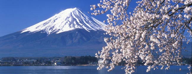 Tokyo (Région) - Immersion chez le professeur à Tokyo