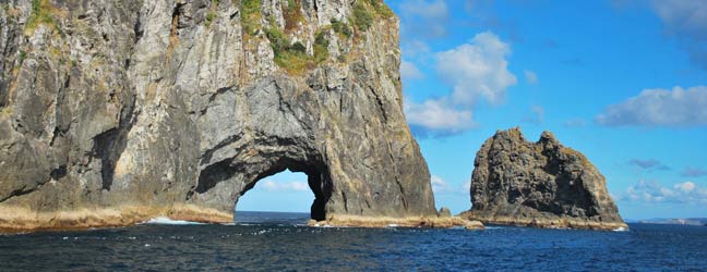 Programme de longue durée - 3 à 5 mois en Nouvelle Zélande