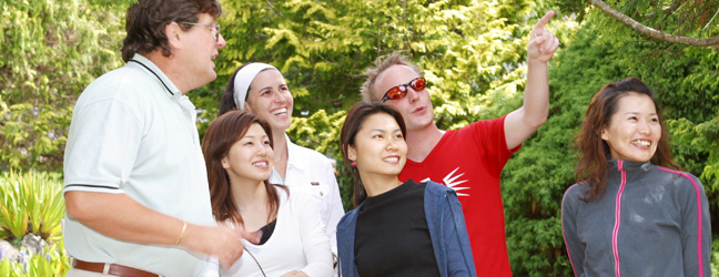 Cours standard (Auckland en Nouvelle Zélande)