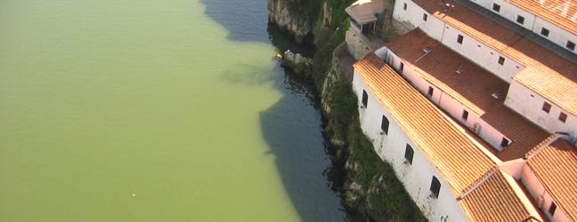 Lisbonne (Région) - Immersion chez le professeur à Lisbonne