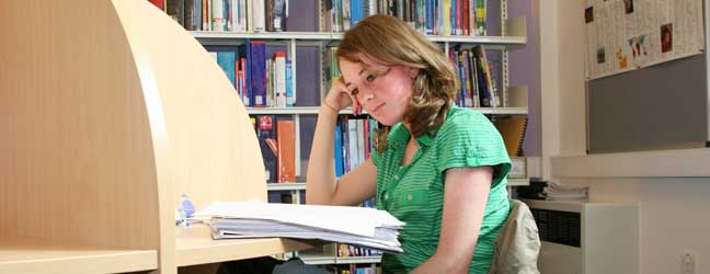 Intégration scolaire en Anglais pour un étudiant